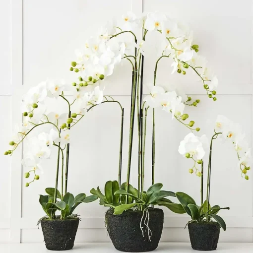 Provincial Home Living Flowers + Greenery | Flowers + Greenery>Blume 3 Stem Orchid