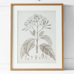 Provincial Home Living Artwork>Floreal Print I 60x76