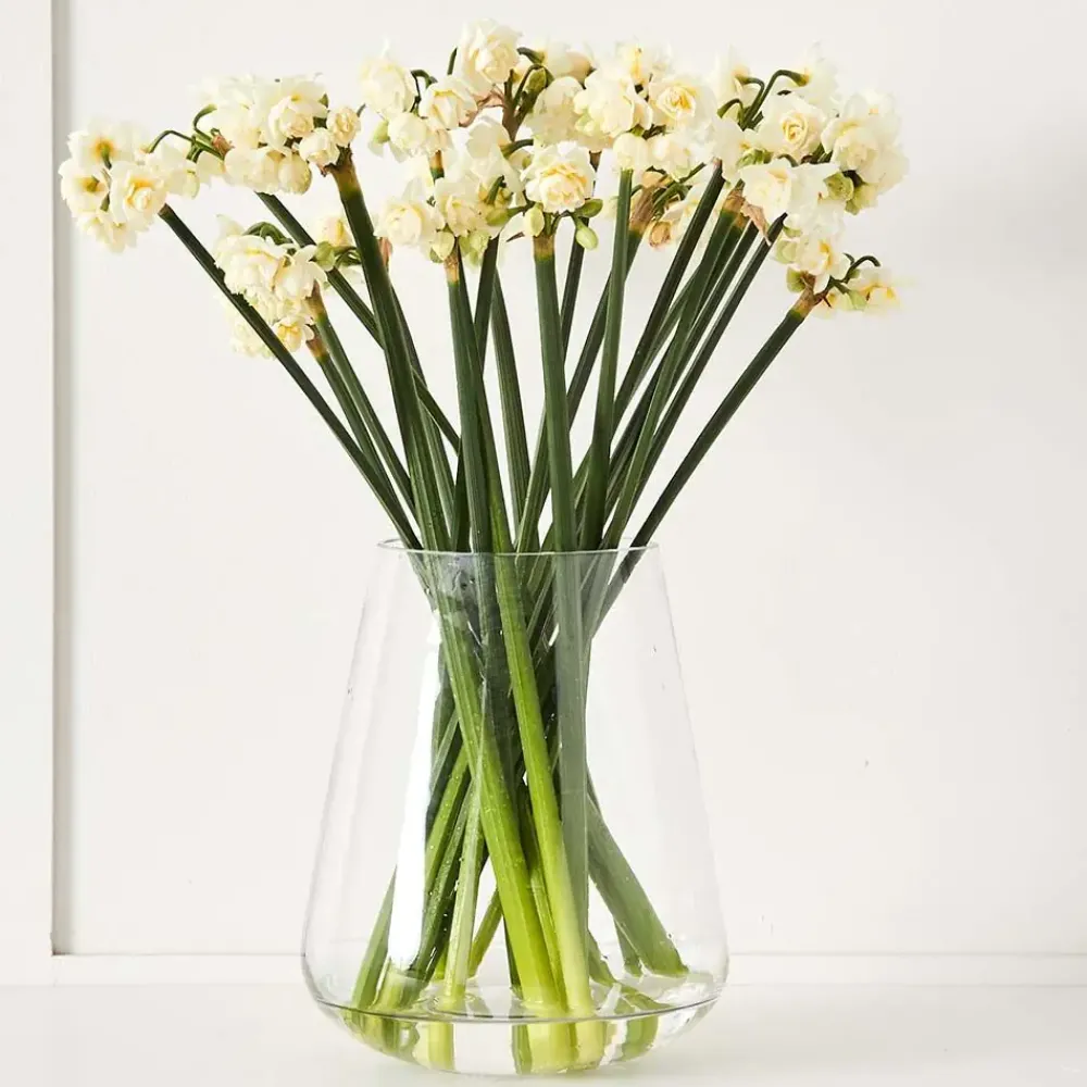 Provincial Home Living Vases | Vases>Gemma Vase