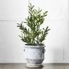 Provincial Home Living Pots, Planters + Urns>Gruyere Flowerpot M