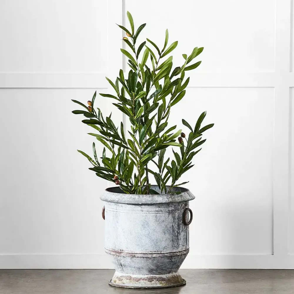 Provincial Home Living Pots, Planters + Urns>Gruyere Flowerpot M