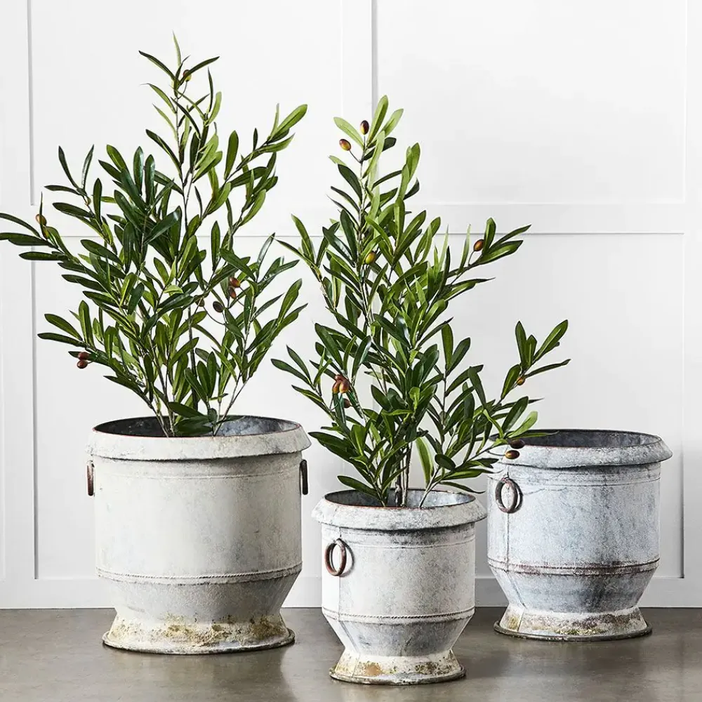 Provincial Home Living Pots, Planters + Urns>Gruyere Flowerpot M
