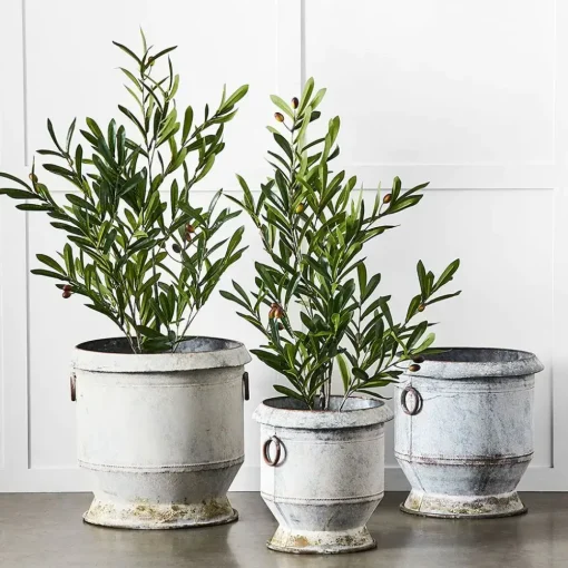 Provincial Home Living Pots, Planters + Urns>Gruyere Flowerpot S