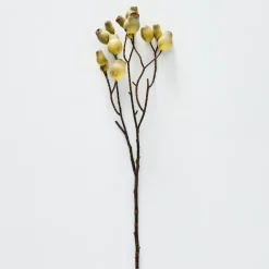 Provincial Home Living Flowers + Greenery | Flowers + Greenery>Gumnut Stem