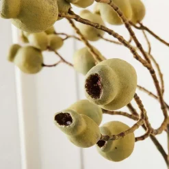 Provincial Home Living Flowers + Greenery | Flowers + Greenery></noscript>Gumnut Stem