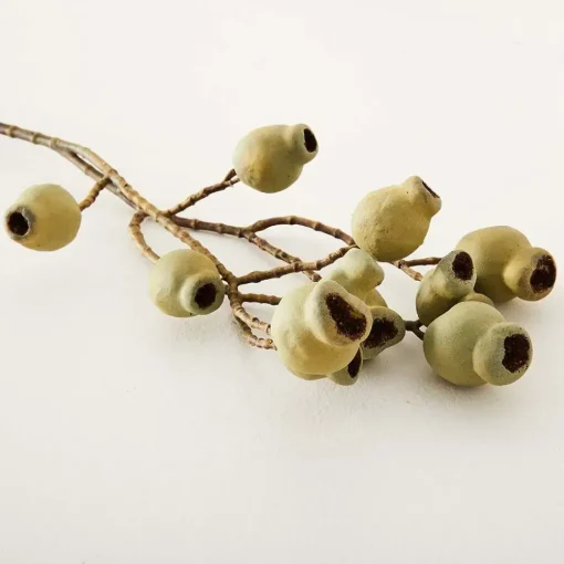 Provincial Home Living Flowers + Greenery | Flowers + Greenery>Gumnut Stem