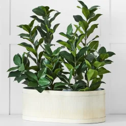 Provincial Home Living Pots, Planters + Urns>Montag Planter L