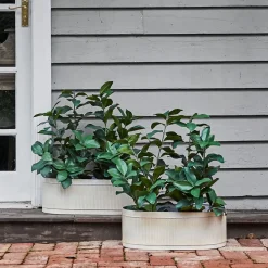Provincial Home Living Pots, Planters + Urns>Montag Planter L